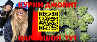 mdpv Краснознаменск