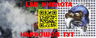 mdpv Краснознаменск