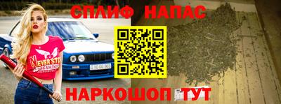 mdpv Краснознаменск