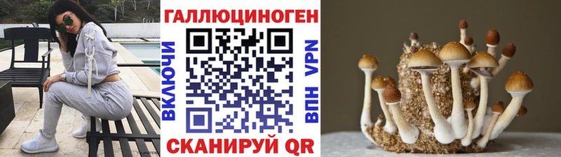 даркнет сайт  Ханты-Мансийск  Галлюциногенные грибы Magic Shrooms 