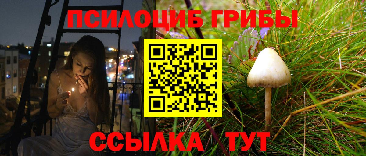 Галлюциногенные грибы MAGIC MUSHROOMS  Вход с VPN  Ханты-Мансийск 