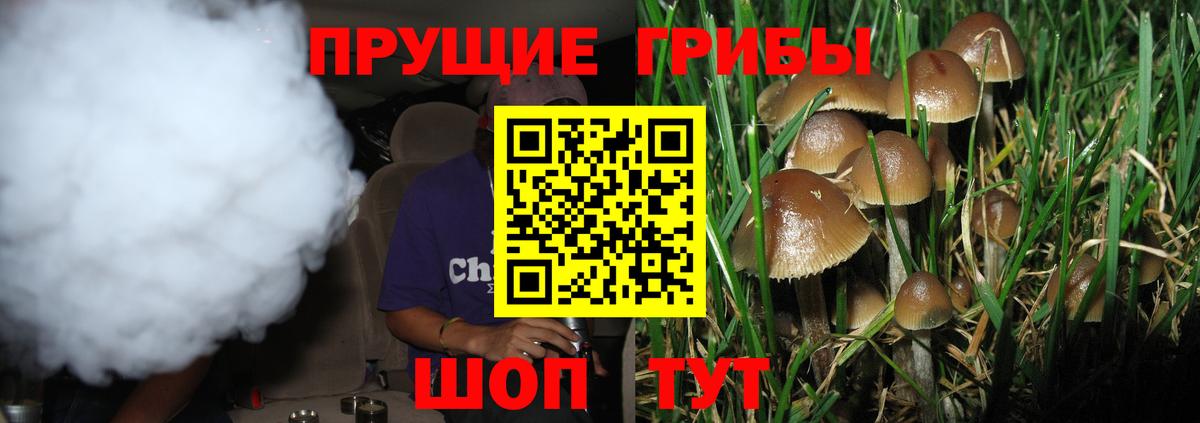 Галлюциногенные грибы Psilocybine cubensis Ханты-Мансийск